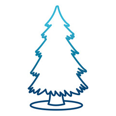 Tree pine isolated icon vector illustration graphic design