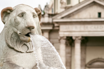 Fototapeta na wymiar lion statues of fountain in Piazza del Popolo, Rome