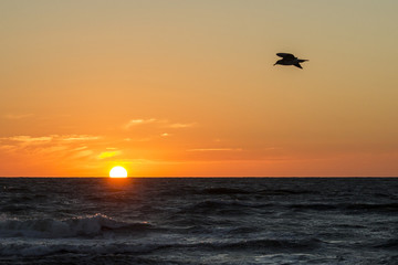 Fototapeta na wymiar romantic sunset on the sea shore 