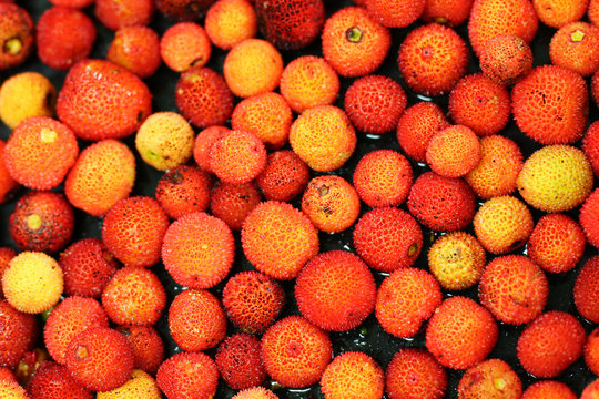 Arbutus Fruit