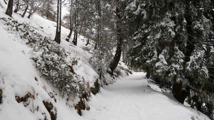 Fototapeta na wymiar Strada ricoperta di neve in montagna
