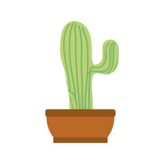 cartoon cactus in a pot