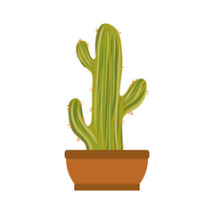 cartoon cactus in a pot