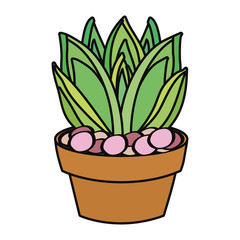 cartoon cactus in a pot