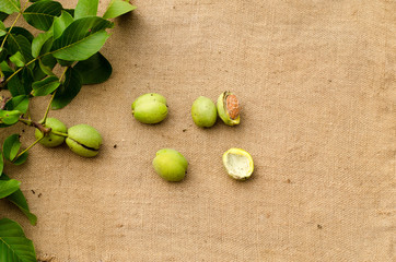 Fototapeta na wymiar fresh walnut