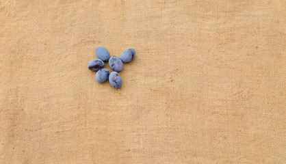 Fototapeta na wymiar plum on a brown background