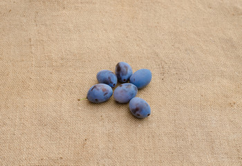 plum on a brown background