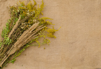 wild flowers and fruits