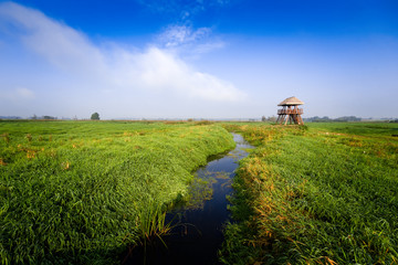 Narwiański Park Narodowy