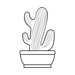 cartoon cactus in a pot