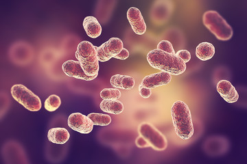 Porphyromonas gingivalis bacteria, 3D illustration. Anaerobic bacteria that cause periodontal disease, bacterial vaginosis, are probably associated with rheumatoid arthritis and esophageal cancer