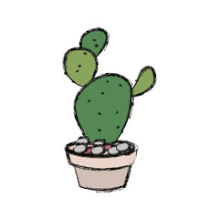 cartoon cactus in a pot