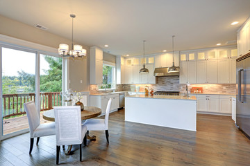 Luxury white kitchen with large kitchen island.