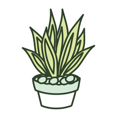 cartoon cactus in a pot