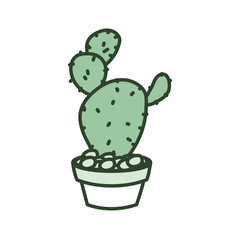 cartoon cactus in a pot