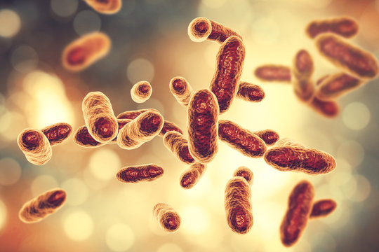 Tannerella forsythia bacteria, 3D illustration. Gram-negative anaerobic bacteria that cause periodontal diseases and have found to be associated with esophageal cancer