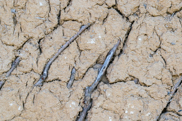 Texture of the clay wall