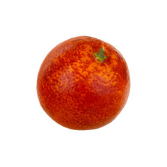 Fototapeta premium red orange isolated