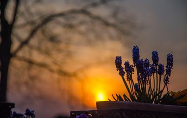 Sonnenuntergang