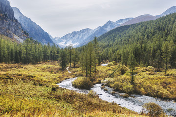 Obraz premium River in the Kuiguk Valley. Altai mountains landscape.