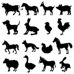 animals from farm