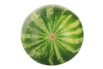 watermelon isolated