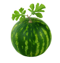 watermelon with leaves isolated