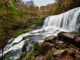 Fototapeta premium Sgwd Isaf Clun-gwynor or Lower Fall of the White Meadow is one of the four main waterfalls on the Afon or River Mellte in the Waterfall Country area of the Brecon Beacons National Park.