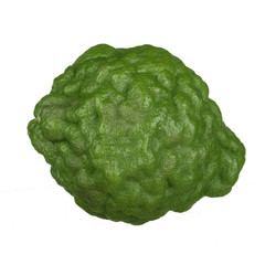 Kaffir lime isolated