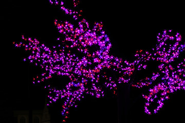 Decorative purple flowers lights hanging on tree as winter decoration. Abstract black purple background with glowing flowers.