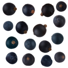 set of juniper berries isolated