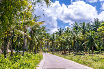 road with palms in tropical island. thailand