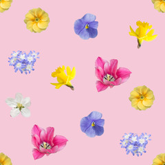 spring flowers seamless background pattern