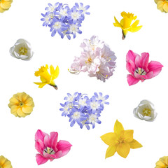 spring flowers seamless background pattern