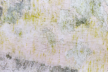 Grunge textures backgrounds. Perfect background with space