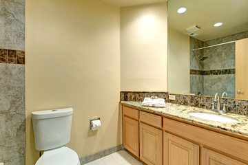 Neutral Bathroom design With Green marble tile