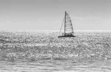 catamaran en mer, noir et blanc 
