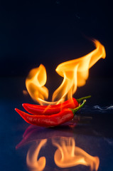 chili pepper red on fire, burning pepper, hot pepper, on a red and black background