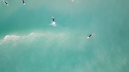 Slow motion aerial drone shot of surfer catching a wave