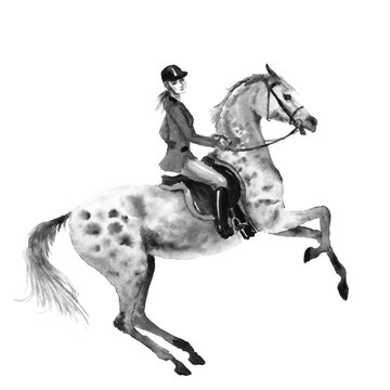 Horseback rider and rearing dapple grey horse. Black and white monochrome watercolor or ink hand drawing illustration. Horseman girl on stallion. England equestrian sport traditional hunting style.