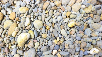 rocky crowd photography