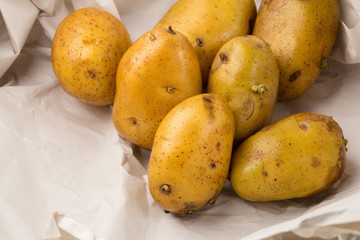 Uncooked fresh potatoes isolated on a Black background
