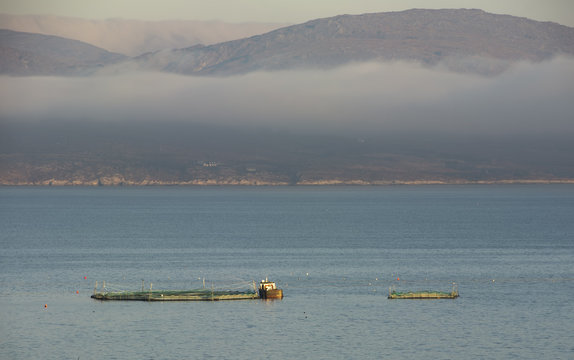 Salmon fishery ntes on Bantry bay Ireland