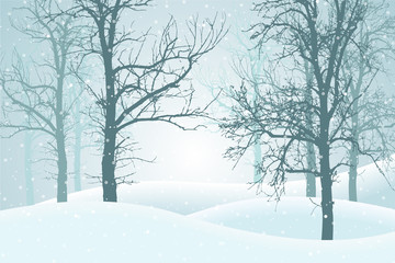 Fototapeta na wymiar Vector illustration of winter forest with snow and mist, suitable as Christmas card