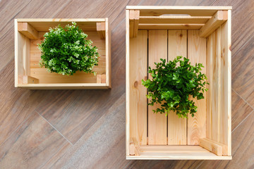 top view, wooden boxes with flowers inside