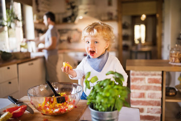 Young father with a toddler boy cooking.
