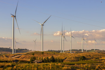 Beautiful sunset above the windmills on the field