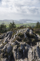 Loch Hyne nature reserve