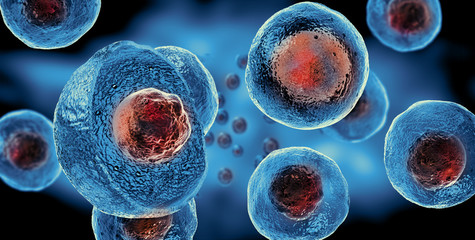 Embryonic stem cells , Cellular therapy  - obrazy, fototapety, plakaty