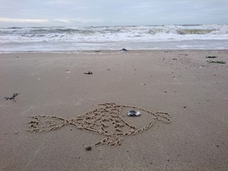 Fischzeichnung an der Nordseeküste